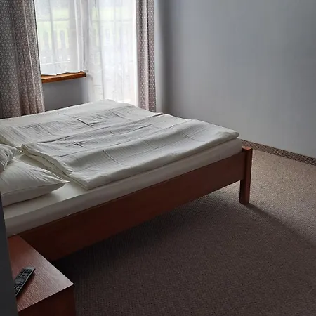 Niezapominajka Pansiyon
